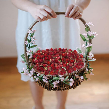 220 Pcs Dried Flower Heads for Crafts Red Globe Amaranth Dried Flowers Heads Bulk Natural Dried Gomphrena Globosa Flower Dry Flower Arrangements for Wedding Decor Home Party Headband DIY