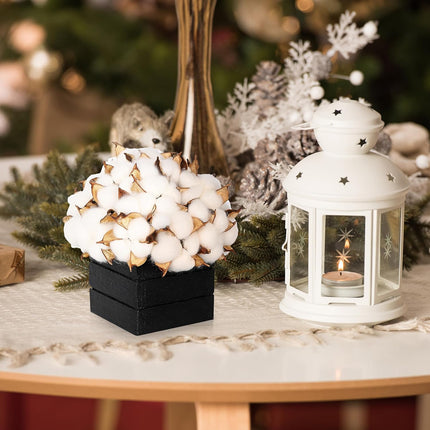 CVHOMEDECO. Cotton Pod with Wooden Vase Real Cotton Pods and Autumn Leaves in Black Wood Box for Home Decor. Idea for Wife, Him or Her, Valentines Day Mother's Day Birthday Warm s.