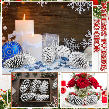 Tondiamo 6 Pcs Christmas Pine Cones for Crafts Large White Unscented Natural Pinecones Ornaments for Winter Christmas Holiday Craft DIY Wreath Vase Filler Home Wedding Decoration(6-7 Inch)