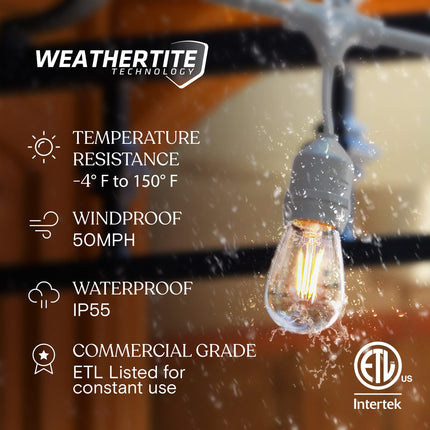 Brightech Ambience Pro Waterproof LED Outdoor String Lights, 48 Ft, Hanging, Dimmable Vintage Edison Bulbs, 15 Bulbs, 2W