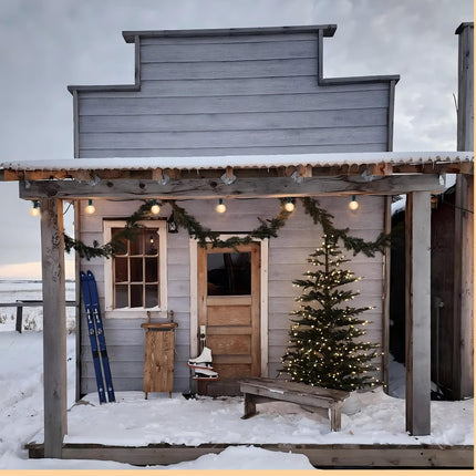25Ft G40 Frosted White String Lights, Outdoor Globe String Lights with 27 White Frosted Globe Bulbs (2 Spare), Hanging Outdoor Christmas Lights for Patio House Room Bistro Pergola Christmas Decor
