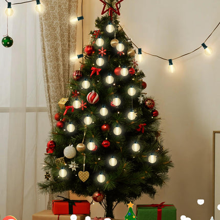 25FT G40 Frosted Christmas Lights,Globe Christmas Lights with 27 Frosted White Bulbs,Outdoor String Lights for Outside Indoor Garden Wedding Pergola Backyard Patio Xmas Tree Decor,Green Wire