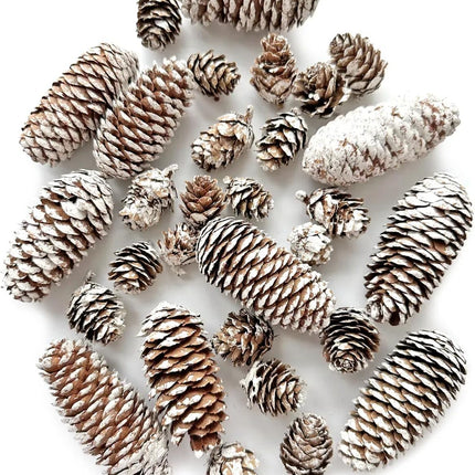 30PCS Christmas Pine Cones Decorations, Natural Snow Pinecones Bulk - 10pcs Large Pine Cones and 20pcs Mini Pine Cones for Xmas, Holiday, Winter Crafts, Table, Wreath,Bowl Decor,,Thansgiving,Party