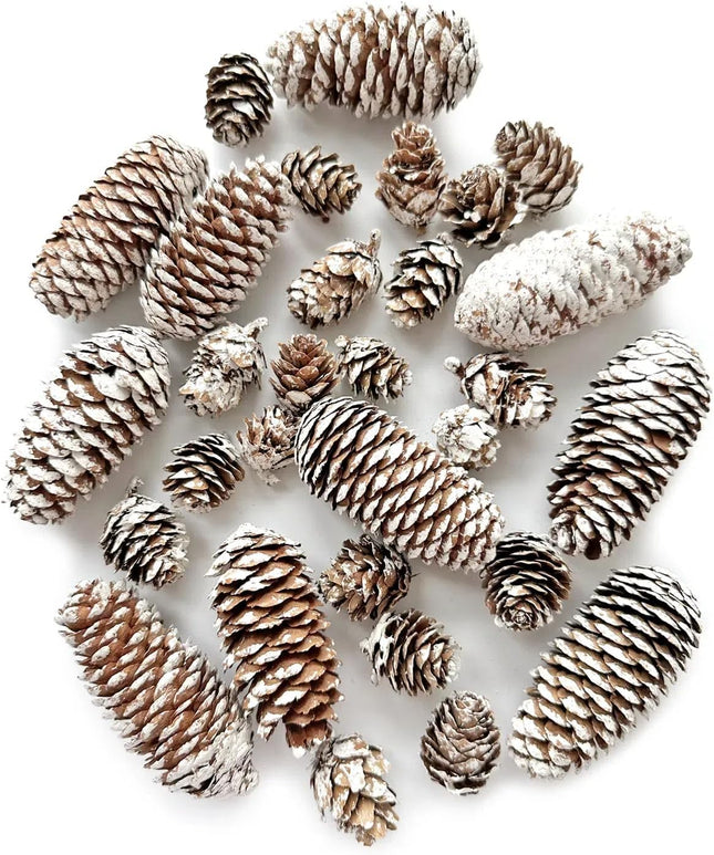 30PCS Christmas Pine Cones Decorations, Natural Snow Pinecones Bulk - 10pcs Large Pine Cones and 20pcs Mini Pine Cones for Xmas, Holiday, Winter Crafts, Table, Wreath,Bowl Decor,,Thansgiving,Party