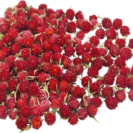 220 Pcs Dried Flower Heads for Crafts Red Globe Amaranth Dried Flowers Heads Bulk Natural Dried Gomphrena Globosa Flower Dry Flower Arrangements for Wedding Decor Home Party Headband DIY