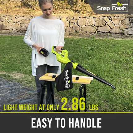 Cordless Blower & Vacuum - SnapFresh 2 in 1 Electric Blower with 4.0Ah Lithium Battery & 2h Fast Charger, 20V Handheld Vacuum Sweeper with Bag for Small Trash, Car, Dust, Pet Hair, Corner Cleaning