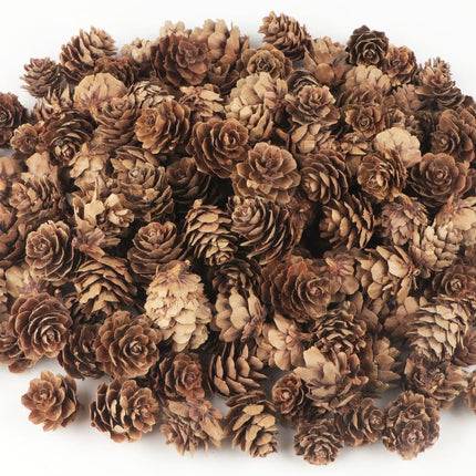 Jangostor 120 PCS Pine Cones Decorations, Natural Pine Cones Bulk - Mini Pine Cones Christmas Pine Cones for Table Christmas Tree Crafts s Thanksgiving Fall and Xmas Home Decor