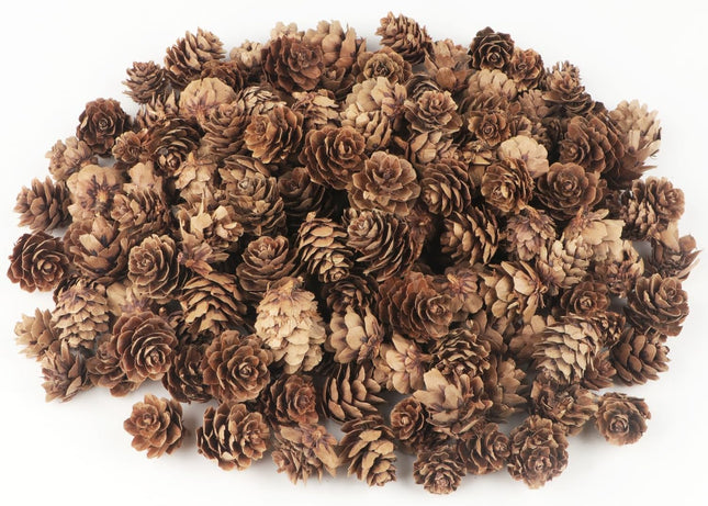 Jangostor 120 PCS Pine Cones Decorations, Natural Pine Cones Bulk - Mini Pine Cones Christmas Pine Cones for Table Christmas Tree Crafts s Thanksgiving Fall and Xmas Home Decor