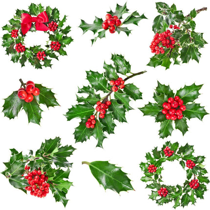 Patelai 800 Pieces Artificial Holly Berries Craft Berry Stems for Christmas Wedding Home Ornaments (Red)