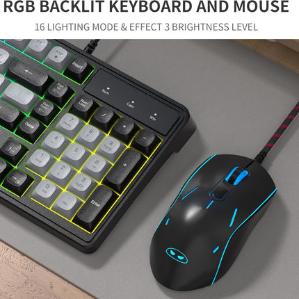 Camiysn Gaming Keyboard and Mouse Combo, 98-Key Layout Rainbow LED Backlit Keyboard and Mouse Gaming Headset Bundle, 3-in-1 Gamer Gift for PC Laptop, Black & Grey