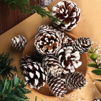 DomeStar 40PCS Snow Pine Cones for Crafts, Natural Pine Cones Christmas Pine Cone Ornaments for Xmas Tree Wreath Winter Holiday Hanging Ornaments