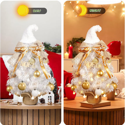 2FT White Small Christmas Tree with Lights,Gnome Tabletop Artificial Christmas Tree Desktop Xmas Tree with Ball Lights, Ornaments,Best DIY Christmas Decorations
