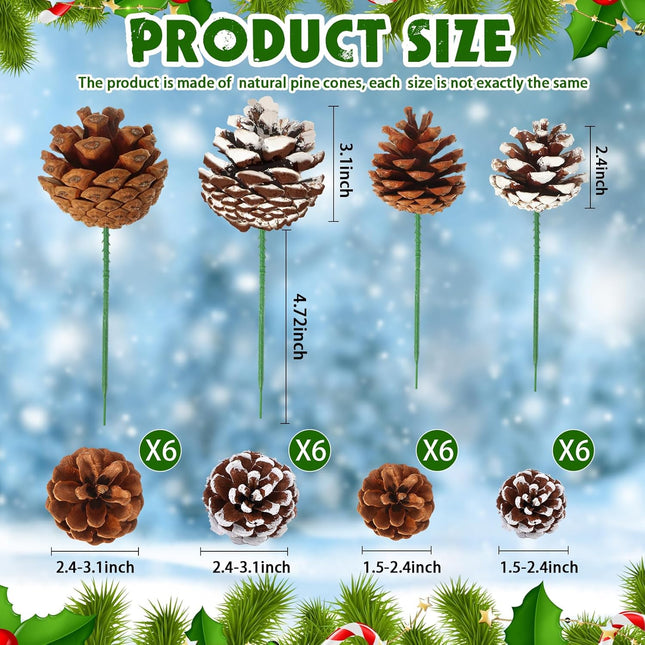Crowye 24 Pcs Pinecones Natural Christmas Pine Cones 2.4''-3.1'' Large Pine Cone, 1.5''-2.4'' Small Pine Cone for Xmas Tree Garland Wreath Ornament Pinecone Decorating Winter (Primary Colors, White)