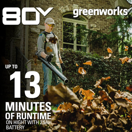 Greenworks Pro 80V (180 MPH / 610 CFM) Brushless Cordless Backpack Leaf Blower, Tool Only BPB80L00 & Greenworks PRO 80V Rapid Charger (Genuine Greenworks Charger)