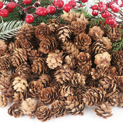 Jangostor 120 PCS Pine Cones Decorations, Natural Pine Cones Bulk - Mini Pine Cones Christmas Pine Cones for Table Christmas Tree Crafts s Thanksgiving Fall and Xmas Home Decor