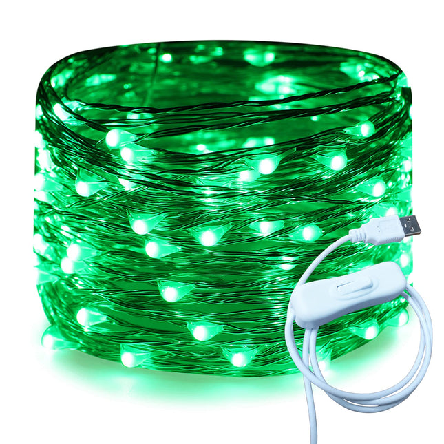 RUICHEN Silver Wire 33 Ft 100 LED USB Fairy String Lights with On/Off Switch (Green)