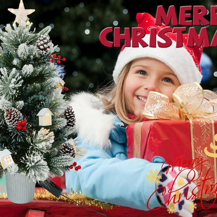 3FT Christmas Tree with 12cm Top Star, Artificial Flocked Fiber Optic Christmas Tree with 60 Mixed Branch Tips & 9White House & 12Red Berry and Big Pinecone String for Indoor Outdoor