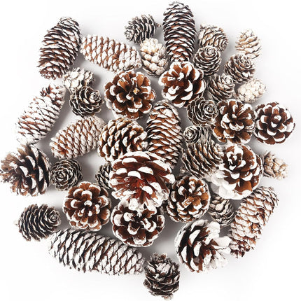 DomeStar 40PCS Snow Pine Cones for Crafts, Natural Pine Cones Christmas Pine Cone Ornaments for Xmas Tree Wreath Winter Holiday Hanging Ornaments