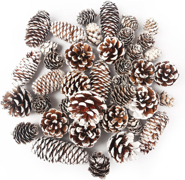 DomeStar 40PCS Snow Pine Cones for Crafts, Natural Pine Cones Christmas Pine Cone Ornaments for Xmas Tree Wreath Winter Holiday Hanging Ornaments
