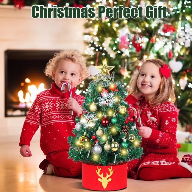 24 Inch/2 ft Small Christmas Tree with Lights LED, Mini Pre-lit Artificial Christmas Tree with Ornaments Topper Collar, Tabletop Battery Operated Xmas Pine Tree for Indoor DIY Decor