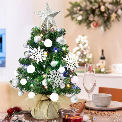 Tabletop Christmas Trees with Lights - HOYECHI Mini Christmas Tree 24 in, Small Light Up 2 ft Christmas Tree with 40 LED Lights & Ornaments Top Star for DIY, Christmas Decoration, Silver & White