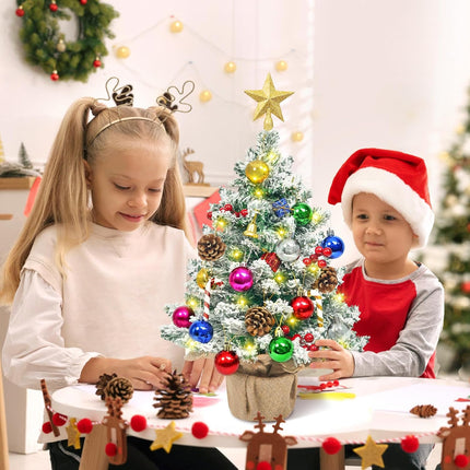 2FT Small Christmas Tree with Lights, Snowy Artificial Mini Christmas Tree, Table Top Christmas Tree Christmas Decorations Indoor Outdoor DIY for Home Decor Party s