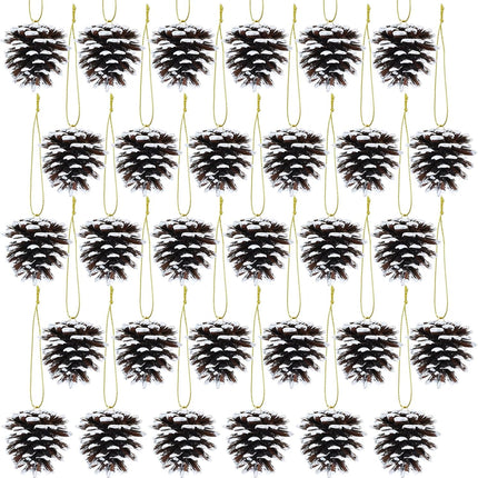 Winlyn 30 Pcs Christmas Pinecones Ornaments Frosted White Natural Pinecones Hanging with String Pinecone Christmas Tree Decorations for Winter Wedding Christmas Holiday Party DIY Craft Seasonal Wreath