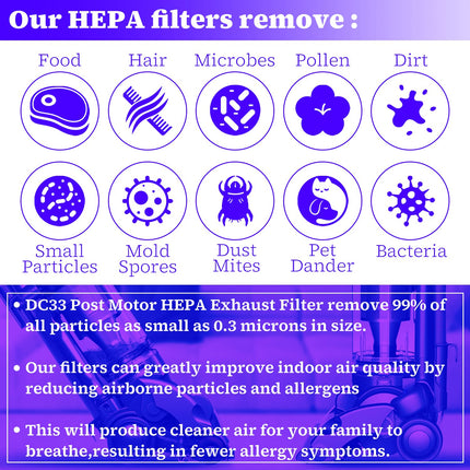 Dc33 Post Motor Hepa Exhaust Filter For Dyson Dc33 Upright Vacuum Cleaners, Replaces Part Numbers: 92161601, 92161601 Round 1Pack