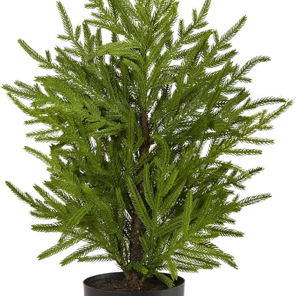 Nearly Natural 2ft. Norfolk Island Pine Natural Look Artificial Tree in Decorative Planter