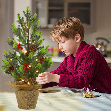 Juegoal 24Inch Pre-lit Christmas Pine Tree, with Warm White Fairy Lights Tabletop Artificial Tree, Small Light up Pine Tree with Burlap Base for Xmas, Spring Home Decorations