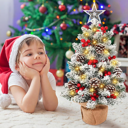 HOXHA Mini Christmas Tree, 22 Inch Small Tabletop Set, Star Tree Topper, Pine Cones Berries and Christmas Ornaments for Christmas Holiday Home Office Table Decorations, White