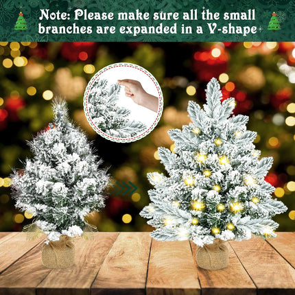 Small Christmas Tree, 20 inch Artificial Mini Christmas Tree with Lights, Snow Flocked Xmas Tree with Burlap Base, Table Top Desktop Christmas Tree for Home Office Christmas Holiday Decorations,Silver