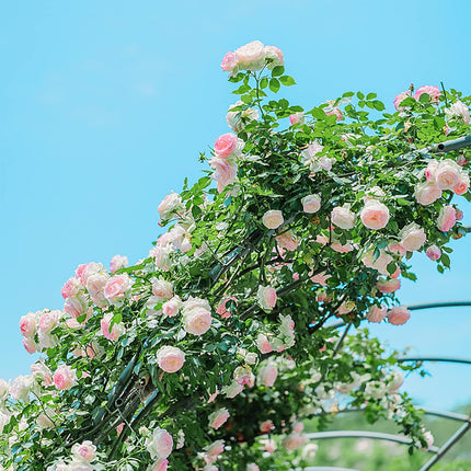 5Pcs39FT Pink Flower Garland, Artificial Indoor/Outoor Flower Garland with Green Leaf, Rose Garland Decorations for Proposal Anniversary Wedding Birthday Party Arc Christmas Wall Backdrop
