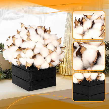 CVHOMEDECO. Cotton Pod with Wooden Vase Real Cotton Pods and Autumn Leaves in Black Wood Box for Home Decor. Idea for Wife, Him or Her, Valentines Day Mother's Day Birthday Warm s.