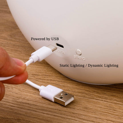 mamre Aurora Lamp Dimmable Night Light for Wedding Anniversary Valentine's Day Birthday Christmas