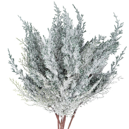 6 Pieces Frosted Artificial Cedar Pine Branches Sprigs 17" Snowy Faux Cedar Twig White Winter Greenery Stems Pine Picks Cedar Spray for Christmas Tree Craft Wreaths Garlands Holiday Season Decor (6)