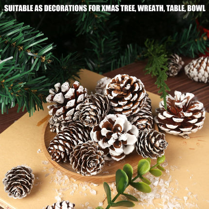 DomeStar 40PCS Snow Pine Cones for Crafts, Natural Pine Cones Christmas Pine Cone Ornaments for Xmas Tree Wreath Winter Holiday Hanging Ornaments