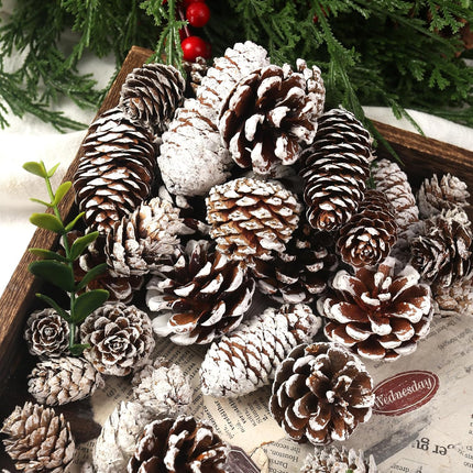 DomeStar 40PCS Snow Pine Cones for Crafts, Natural Pine Cones Christmas Pine Cone Ornaments for Xmas Tree Wreath Winter Holiday Hanging Ornaments