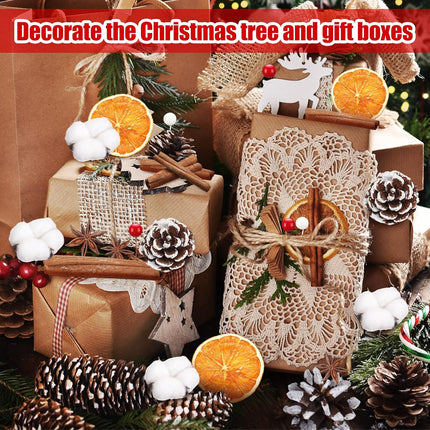 240 Pcs Christmas Pine Cones for Crafts Dried Cotton Balls,Dried Orange Slices and Cinnamon Sticks,Star Anise,Wreath Garland Making for Home Winter Wreath DIY Crafts Decorations Supplies