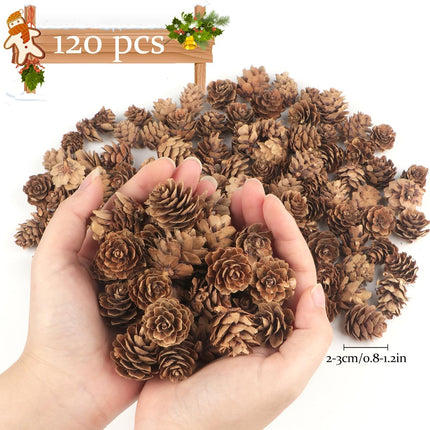 Jangostor 120 PCS Pine Cones Decorations, Natural Pine Cones Bulk - Mini Pine Cones Christmas Pine Cones for Table Christmas Tree Crafts s Thanksgiving Fall and Xmas Home Decor