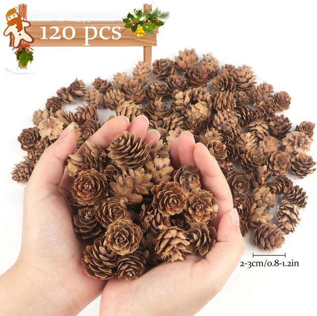 Jangostor 120 PCS Pine Cones Decorations, Natural Pine Cones Bulk - Mini Pine Cones Christmas Pine Cones for Table Christmas Tree Crafts s Thanksgiving Fall and Xmas Home Decor