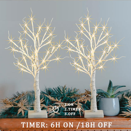 Birch Tree with LED Lights for Christmas Decor, Battery Operated/USB Powered Lighted Birch Tree, 2FT Warm White Artificial Light up Christmas Tree for Indoor Table Fireplace Decoration(Timer, 2 Pack)