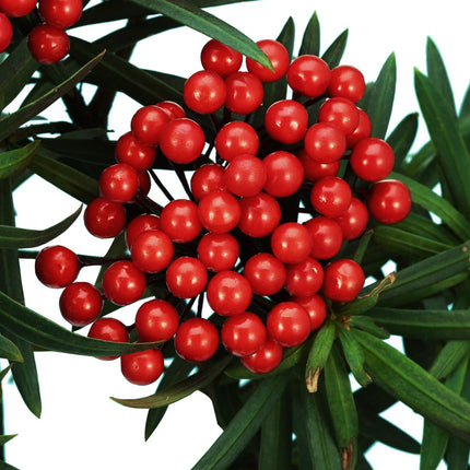 BBTO Artificial 200 Pack Holly Christmas Berries on 100 Wire Stems 8 mm Fake Berries for Christmas Tree Decorations Wreath Craft Wedding Party Favor (Red)