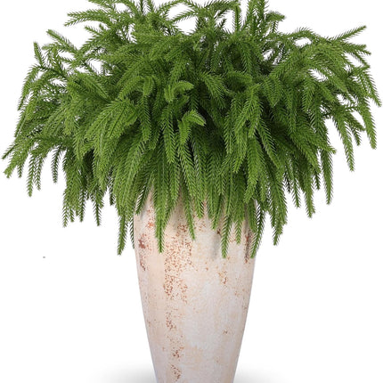 12 Pcs Christmas Norfolk Pine Branches, Norfolk Pine Artificial Christmas Stems DIY Crafts Faux Christmas Greenary Norfolk Pine Branches for Xmas Wreath Garland Home Decor (12)
