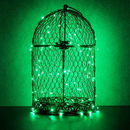 RUICHEN Silver Wire 33 Ft 100 LED USB Fairy String Lights with On/Off Switch (Green)