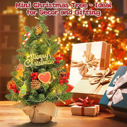 24" Mini Christmas Tree with LED Lights, Small Tabletop Christmas Tree for Indoor Christmas Decorations with Sign, Red Berries, Pine Cones, Hanging Cards,Ideal Christmas Decor for Home, Office & Party