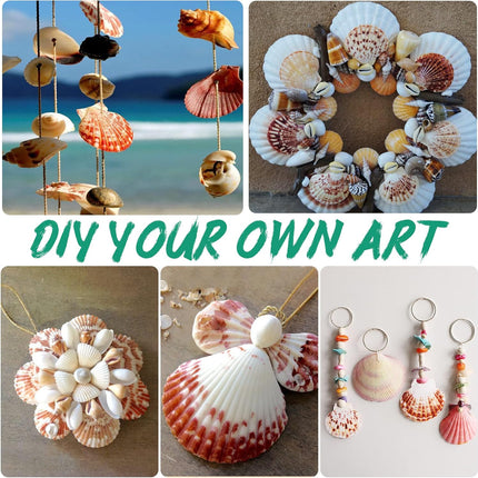 Christmas Seashells Beach Ornaments 10pcs, 2-3 Inch Hanging Scallop Shells for Decorating, Natural Beach Decorations for Home DIY Decor Wreath
