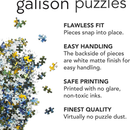Galison Sensing Colors – 1000 Piece Jessica Poundstone Puzzle Featuring Ephemeral Art from The Hyperspectral Sensing Art Series