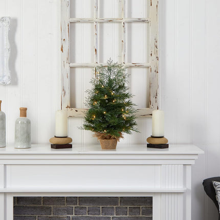 Nearly Natural 2ft. Artificial Christmas Tree in Burlap Base with 35 Warm White LED Lights
