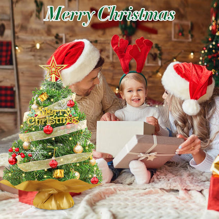Mini Christmas Tree 2FT Green Artificial Small Christmas Tree with Small Warm Light and Hanging Ornaments Desktop Xmas Tree for Chrismtas DIY s Supplies Office Home Party Decorations